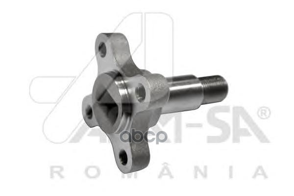 Ступица заднего колеса 4X2 ASAM-SA арт. 32035