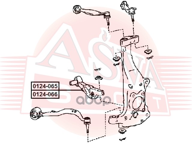 РЫЧАГ ПЕРЕДНИЙ НИЖНИЙ ПРАВЫЙ ASVA арт. 0124066