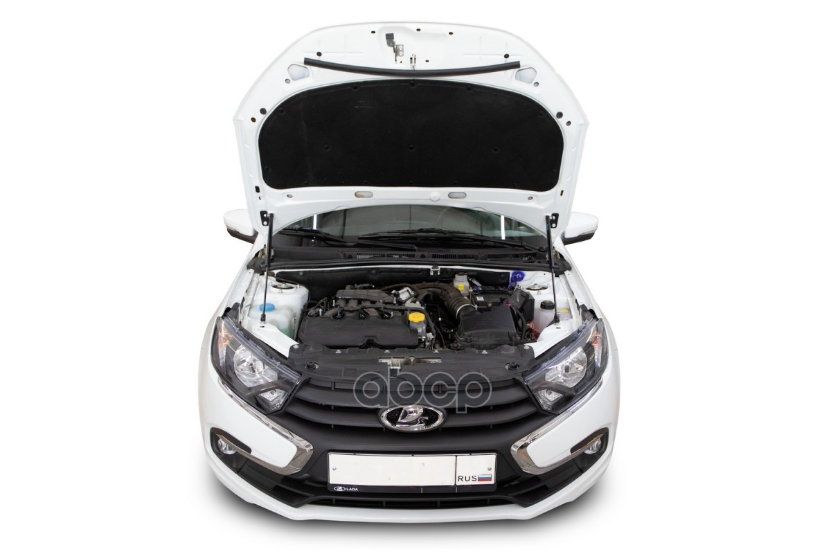 Упоры капота для LADA Granta, 2018-, LADA Granta Classic, 2022-, к-т 2 шт / Лада Гранта Arbori арт. ARBORI.HD.023102