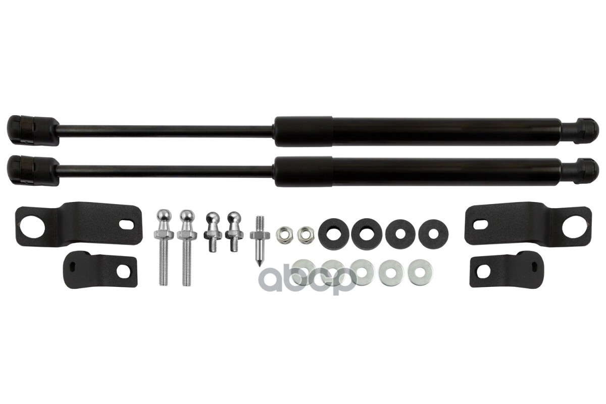 Упоры капота для OMODA S5 GT 2023-н.в. Arbori 2 шт. / Омода С5 ГТ Arbori арт. ARBORI.HD.068102