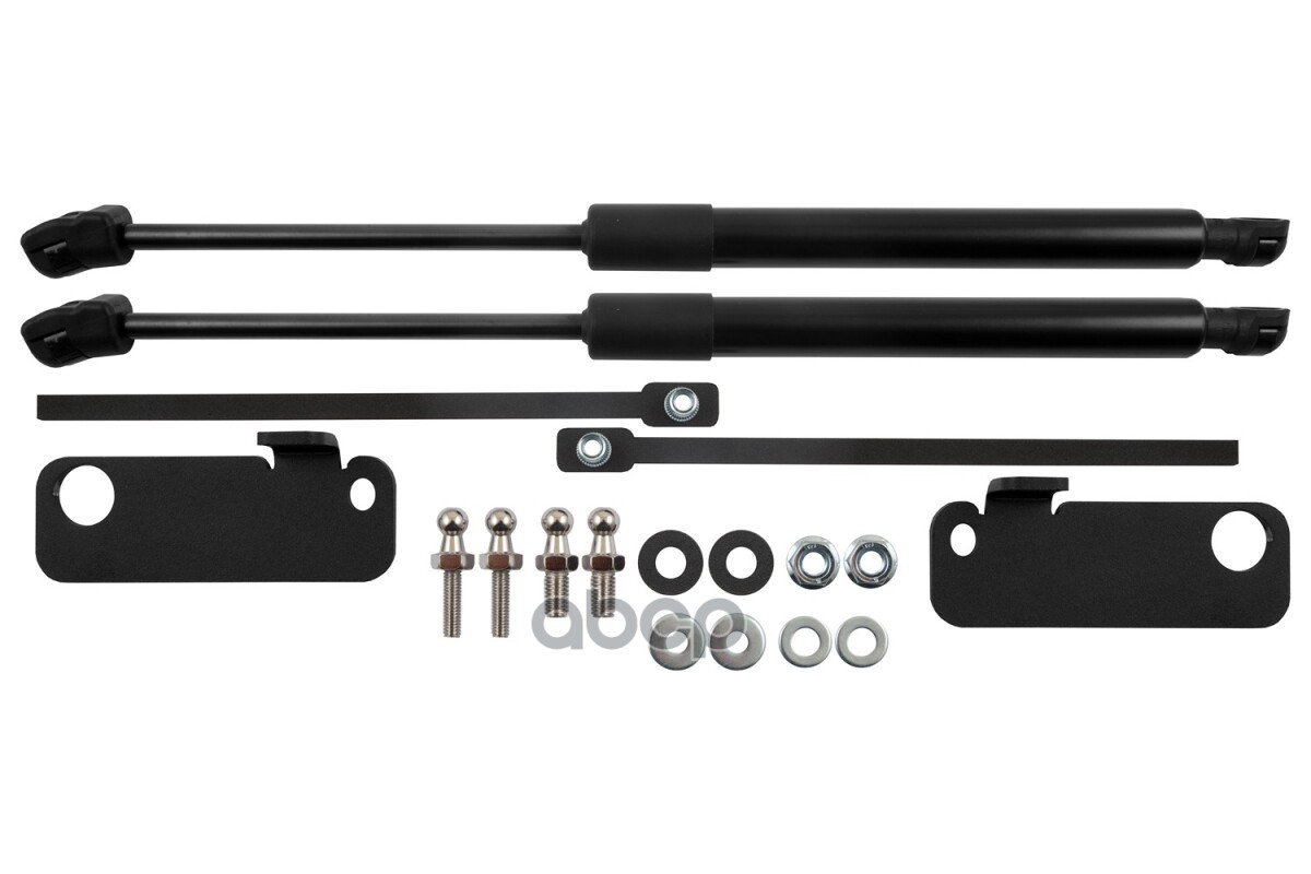 Упоры капота для BAIC U5 Plus, 2023-, к-т 2 шт / БАИК У5 Плюс Arbori арт. ARBORI.HD.071104