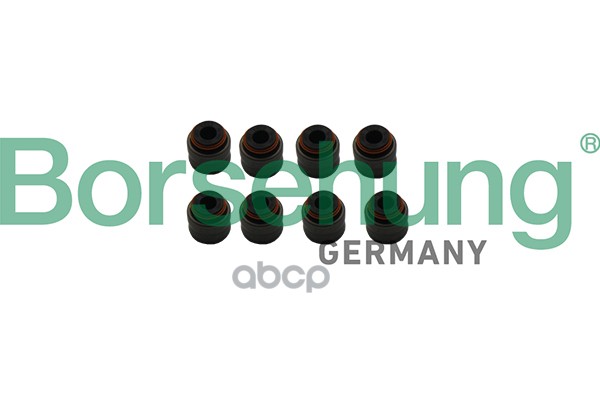 Комплект маслосъёмных колпачков BORSEHUNG арт. B19240