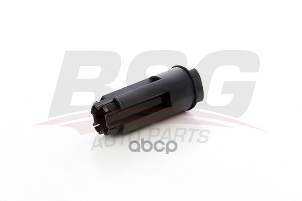 Кронштейн Крепления Радиатора BSG AUTO PARTS арт. BSG30922205