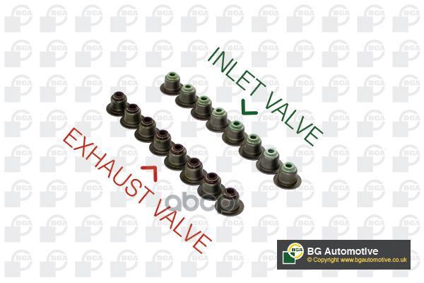 Комплект Маслосъемных Колпачков Bga арт. VK4374