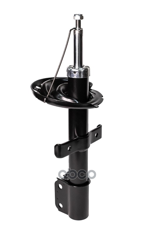 Амортизатор Подвески Gas, Renault CWORKS арт. F21GR0055