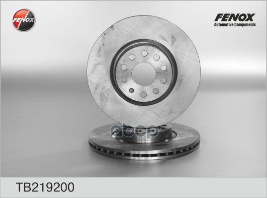 Диск тормозной VW Passat 05- FENOX арт. TB219200