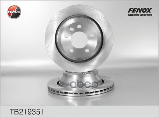 Диск тормозной задний VW TOUAREG FENOX TB219351 FENOX арт. TB219351