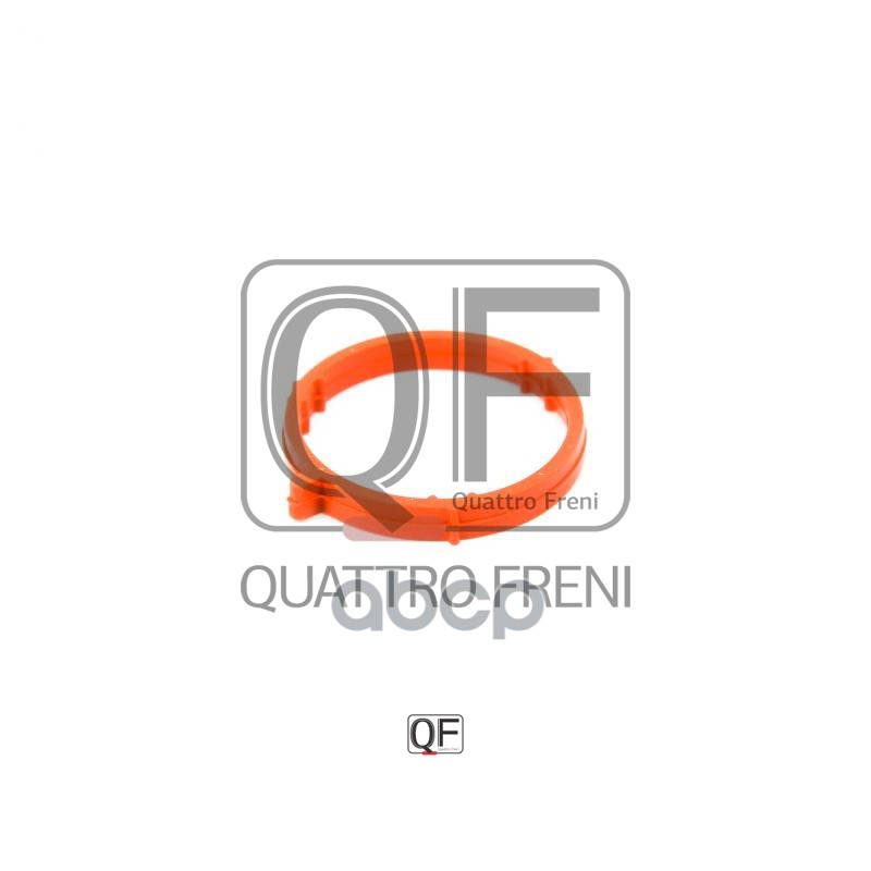 Прокладка впускного коллектора QUATTRO FRENI арт. qf76a00025