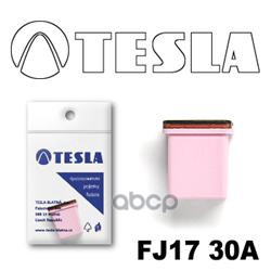 Предохранитель Картриджного Типа Tesla Fj1730a TESLA арт. FJ1730A