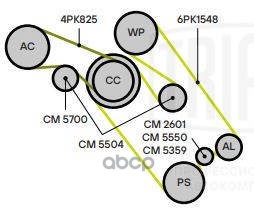 Ролик привод. ремня для а/м BMW 7 E65 (01-) 3.6i/4.4i/6.0i (опор.) с кронштейном (CM 5359) Trialli арт. cm-5359