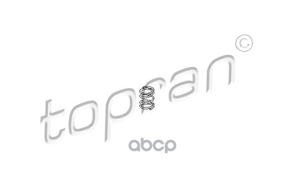 Пружина ручки двери (замена для HP-109725755) topran арт. 109725001