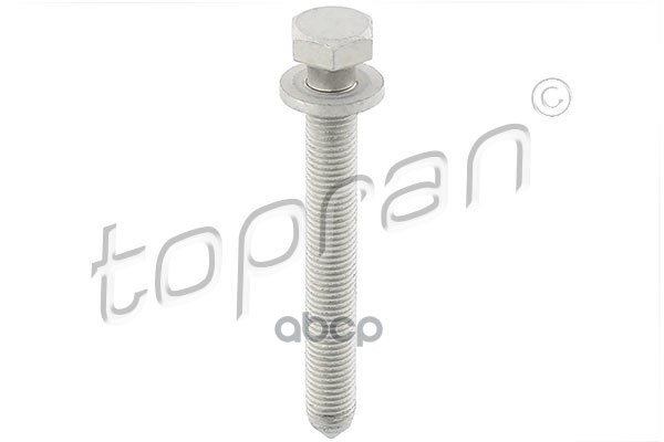 Болт Крепления Рычага (Замена Для Hp-116950595) topran арт. 116950001