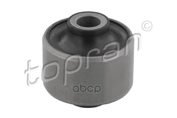 Сайентблок Рычага Подвески (Замена Для Hp-300565755) topran арт. 300565001