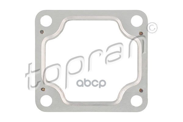 Прокладка Выпускной Трубы Глушителя (Замена Для Hp-303986685) topran арт. 303986001