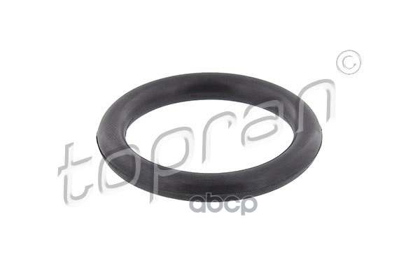 Прокладка Впускного Коллектора (Замена Для Hp-304040785) topran арт. 304040001