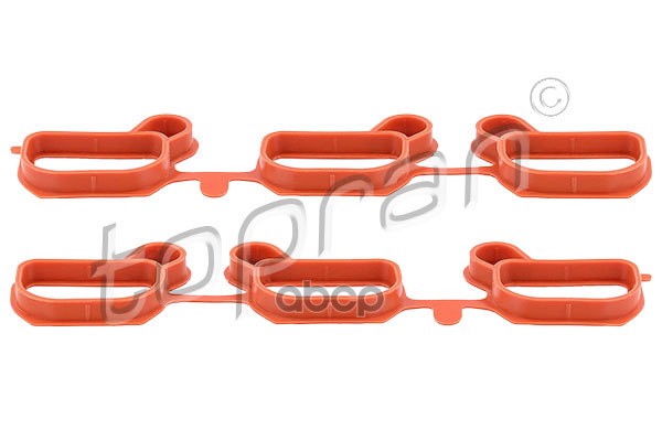 Комплект Прокладок Впускного Коллектора (Замена Для Hp-502196755) topran арт. 502196001