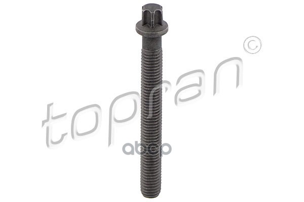 Болт Крепления Шкива Коленвала (Замена Для Hp-503132465) topran арт. 503132001
